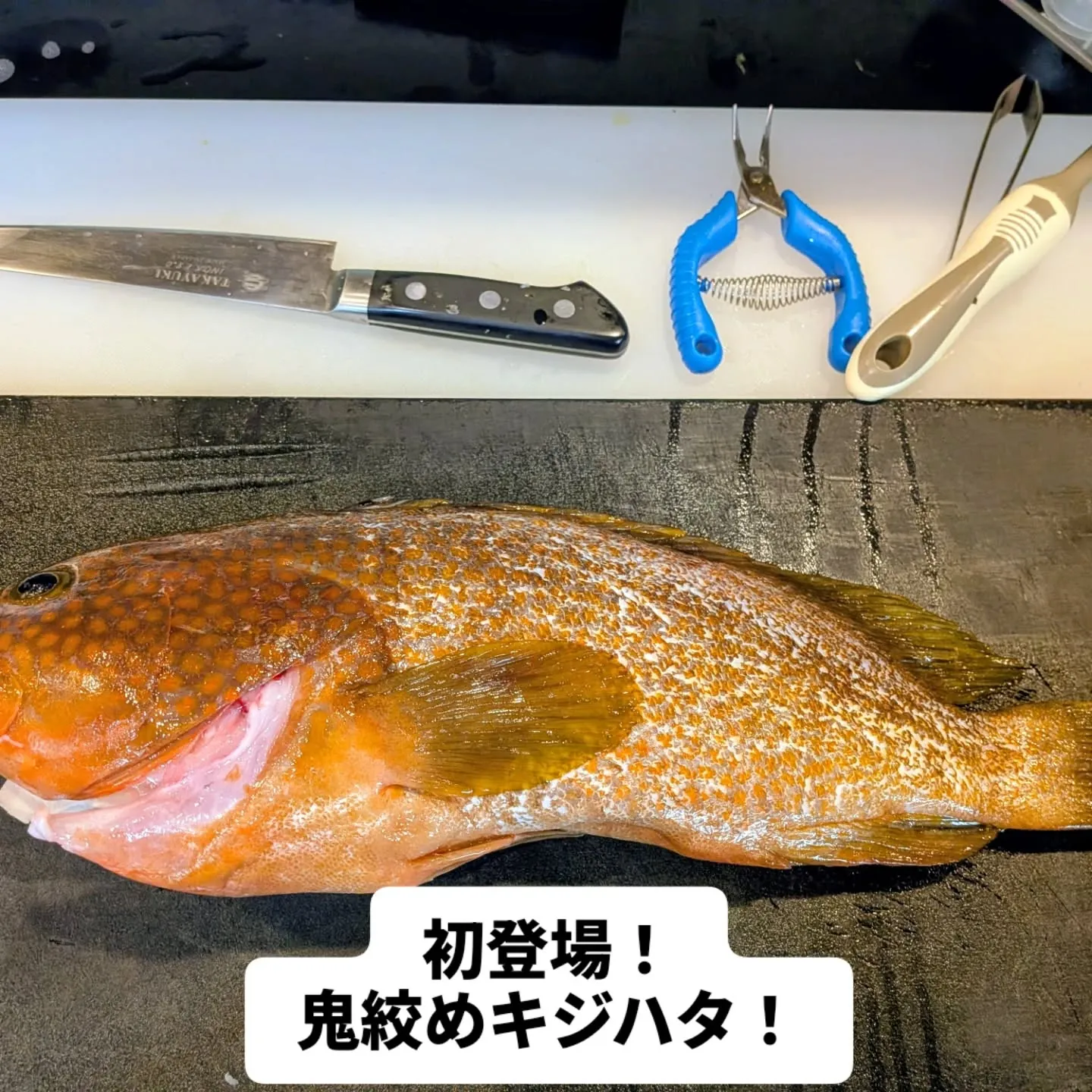 大和肉鶏 櫻原